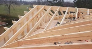 WhatsApp Image 2025-11-12 at 10.38.11 PM (1)